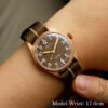 OLD SMITH 90-002 38mm Bronze Case Brown Dial on Wrist